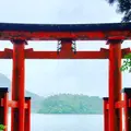 箱根神社の写真_699934