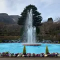 箱根強羅公園の写真_700386