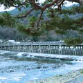 渡月橋の写真_705470