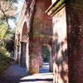 南禅寺の写真_705508