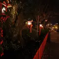 祇園白川の写真_705553