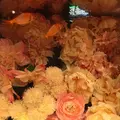 奈良金魚ミュージアムの写真_710309