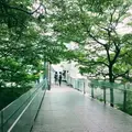 ポーラ美術館の写真_712764