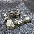 三ツ石の写真_713219
