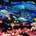 伊豆ぐらんぱる公園の写真_719151