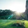 平和台公園の写真_721869