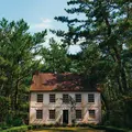The British Garden/ 英国式庭園の写真_721875