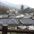 山辺の古径の写真_728344