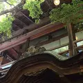 みやじまの宿 岩惣の写真_728501