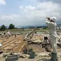 藤原宮跡の写真_729077