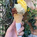 Gelateria del Teatroの写真_733346