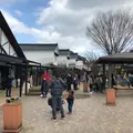 月うさぎの里の写真_734880