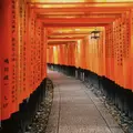 伏見稲荷大社の写真_737842