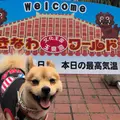 おきなわワールドの写真_739482