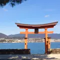 長浜神社の写真_740200