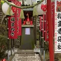 招霊赤猫社の写真_741719