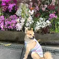 ビオスの丘の写真_741793