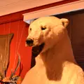 ベンの家の写真_743030