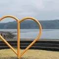 知林ヶ島の写真_745587