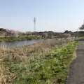 花見川サイクリングロードの写真_747074