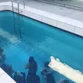 金沢21世紀美術館の写真_749684