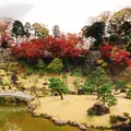 玉泉院丸庭園の写真_749689