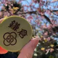 アルブルノワールの写真_749732