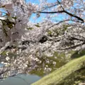 総合公園バンブージョイハイランドの写真_752829