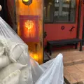 蓮月の写真_756466