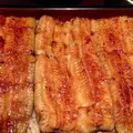 野田岩 麻布飯倉本店の写真_759748
