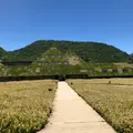 ラコリーナ近江八幡の写真_763321
