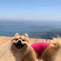 びわ湖バレイの写真_763325