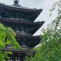 醍醐寺の写真_764834