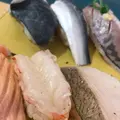 地魚回転寿司 山傳丸の写真_765083