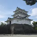 小田原城址公園の写真_768386