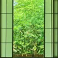kopin_Journeyの写真_770796