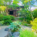宝筐院の写真_771165