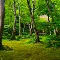 祇王寺の写真_771176
