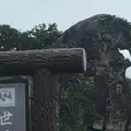 獅子岩の写真_774377