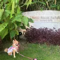カフーリゾートフチャク コンドホテルの写真_776669