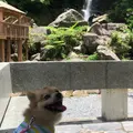 轟ノ滝の写真_776696