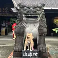 琉球村の写真_777936