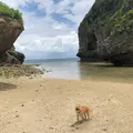 兼久ビーチの写真_778695