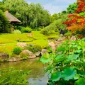 退蔵院の写真_780567