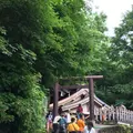 戸隠神社奥社の写真_780705