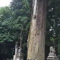 戸隠神社中社の写真_780708