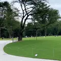 新宿中央公園の写真_780819