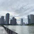 隅田川の写真_781632