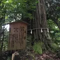 須佐神社の写真_783880