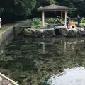本宮の泉の写真_783907